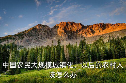 中國(guó)農(nóng)民大規(guī)模城鎮(zhèn)化，以后的農(nóng)村人該怎么辦