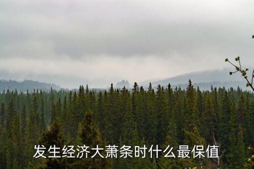 發(fā)生經濟大蕭條時什么最保值