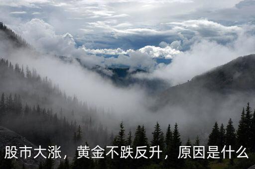 股市大漲，黃金不跌反升，原因是什么