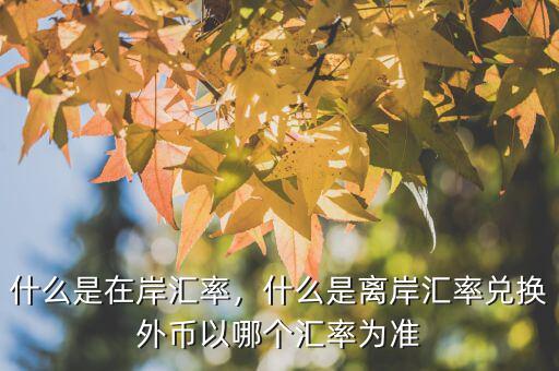 什么是在岸匯率，什么是離岸匯率兌換外幣以哪個匯率為準(zhǔn)