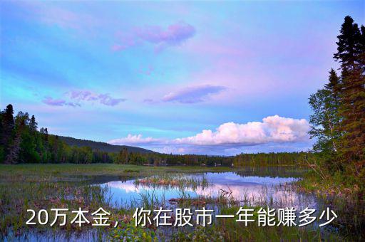 20萬本金，你在股市一年能賺多少