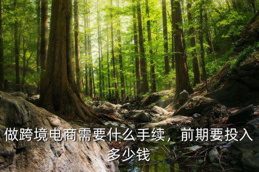 做跨境電商需要什么手續(xù)，前期要投入多少錢