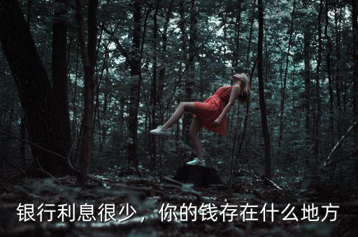 銀行利息很少，你的錢(qián)存在什么地方