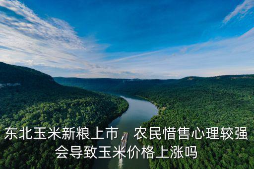 東北玉米新糧上市，農(nóng)民惜售心理較強(qiáng)會(huì)導(dǎo)致玉米價(jià)格上漲嗎