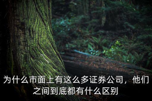 為什么市面上有這么多證券公司，他們之間到底都有什么區(qū)別