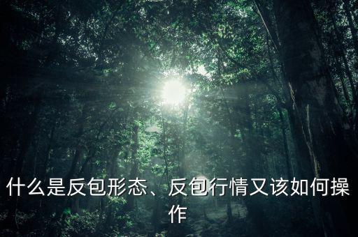 什么是反包形態(tài)、反包行情又該如何操作