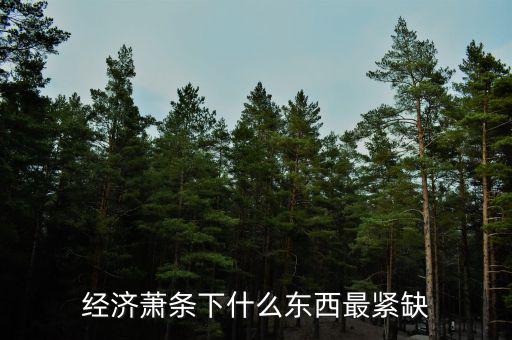 經(jīng)濟蕭條什么值錢,經(jīng)濟蕭條下什么東西最緊缺