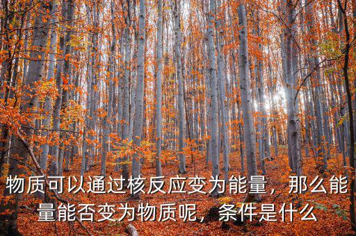 物質(zhì)可以通過核反應(yīng)變?yōu)槟芰?，那么能量能否變?yōu)槲镔|(zhì)呢，條件是什么