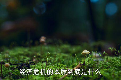 經(jīng)濟(jì)危機(jī)從什么時(shí)候開(kāi)始,美國(guó)什么時(shí)候出現(xiàn)經(jīng)濟(jì)危機(jī)