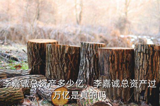 李嘉誠(chéng)總資產(chǎn)多少億，李嘉誠(chéng)總資產(chǎn)過(guò)萬(wàn)億是真的嗎