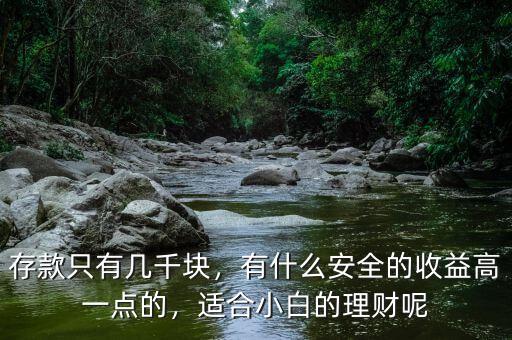 存款只有幾千塊，有什么安全的收益高一點(diǎn)的，適合小白的理財(cái)呢
