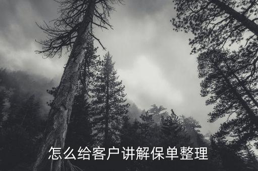 怎么給客戶(hù)講解保單整理