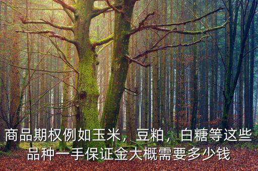 商品期權(quán)例如玉米，豆粕，白糖等這些品種一手保證金大概需要多少錢