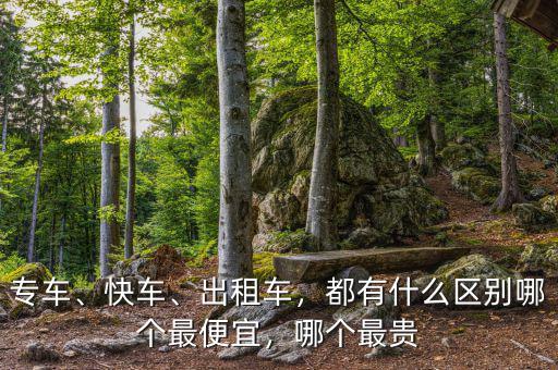 專車、快車、出租車，都有什么區(qū)別哪個最便宜，哪個最貴