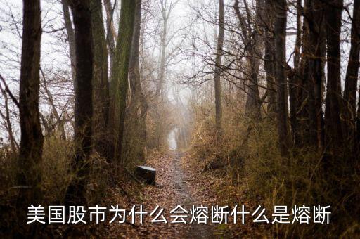美國(guó)股市為什么會(huì)熔斷什么是熔斷