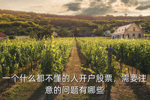 一個(gè)什么都不懂的人開戶股票，需要注意的問題有哪些