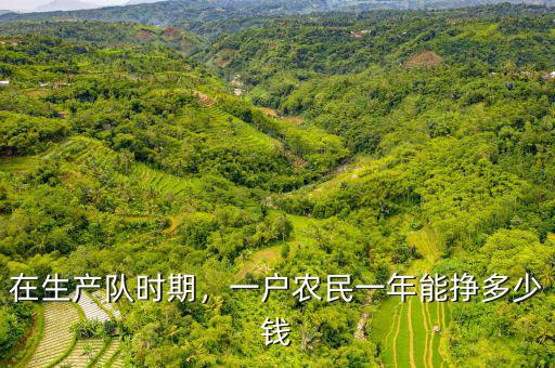 在生產(chǎn)隊時期，一戶農(nóng)民一年能掙多少錢
