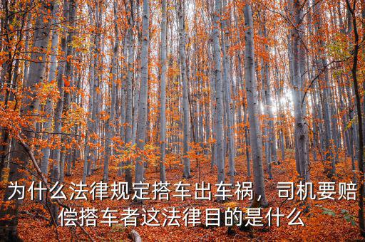為什么法律規(guī)定搭車(chē)出車(chē)禍，司機(jī)要賠償搭車(chē)者這法律目的是什么
