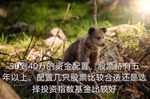 30到40萬的資金配置，股票持有五年以上，配置幾只股票比較合適還是選擇投資指數(shù)基金比較好
