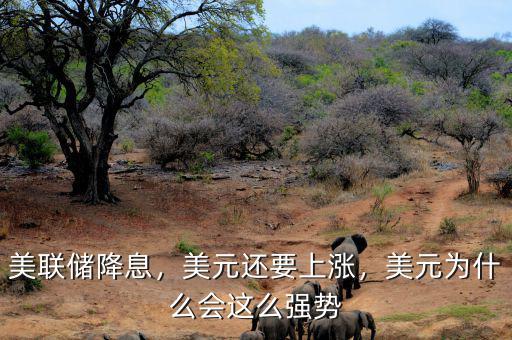 美聯(lián)儲降息，美元還要上漲，美元為什么會這么強(qiáng)勢