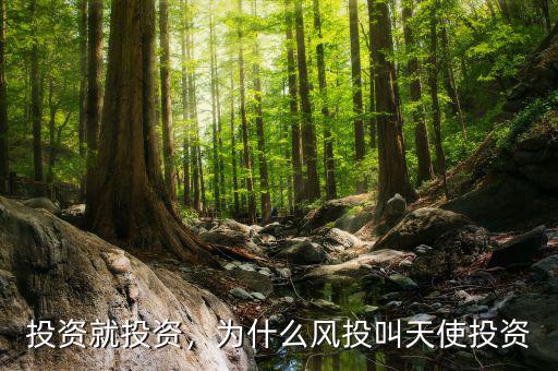 投資就投資，為什么風(fēng)投叫天使投資