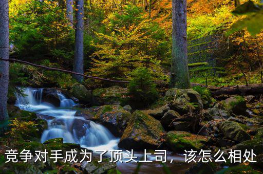 競爭對手成為了頂頭上司，該怎么相處