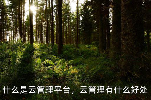 什么是云管理平臺(tái)，云管理有什么好處