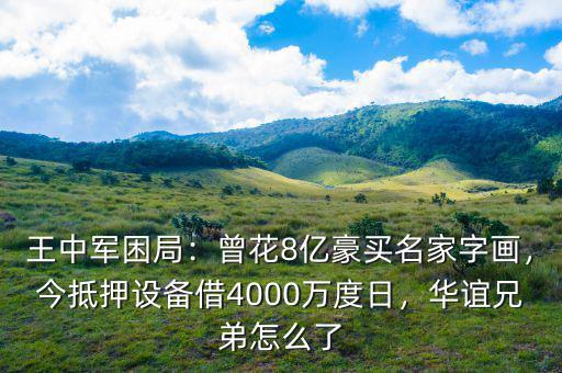 王中軍困局：曾花8億豪買名家字畫，今抵押設(shè)備借4000萬度日，華誼兄弟怎么了