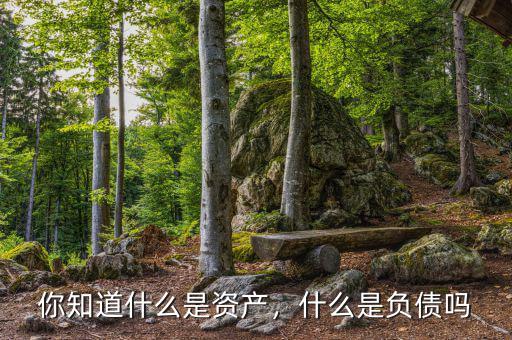 你知道什么是資產(chǎn)，什么是負(fù)債嗎