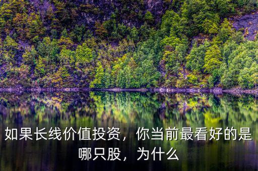 如果長線價值投資，你當(dāng)前最看好的是哪只股，為什么
