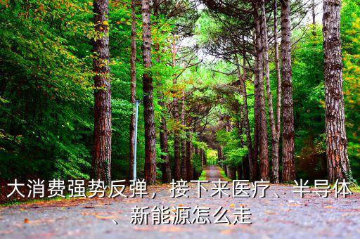 大消費(fèi)強(qiáng)勢(shì)反彈，接下來醫(yī)療、半導(dǎo)體、新能源怎么走
