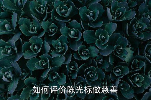 為什么說(shuō)陳光標(biāo)暴力慈善,陳光標(biāo)是真慈善還是假慈善