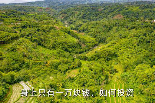 身上只有一萬塊錢，如何投資