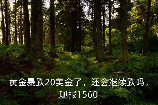 黃金暴跌20美金了，還會(huì)繼續(xù)跌嗎，現(xiàn)報(bào)1560