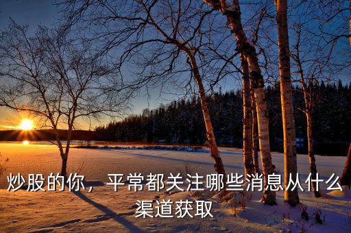 炒股應該關(guān)注什么,炒股需要關(guān)注大盤嗎