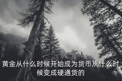 什么時(shí)候開始有黃金的,黃金從什么時(shí)候開始成為貨幣