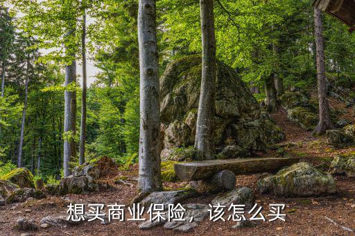 想買商業(yè)保險(xiǎn)，該怎么買