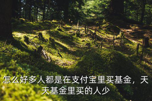 怎么好多人都是在支付寶里買基金，天天基金里買的人少