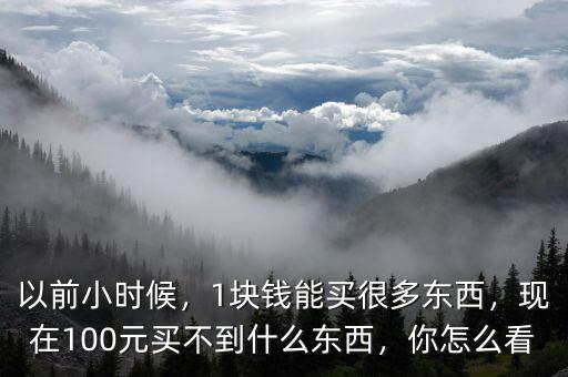 以前小時(shí)候，1塊錢能買很多東西，現(xiàn)在100元買不到什么東西，你怎么看