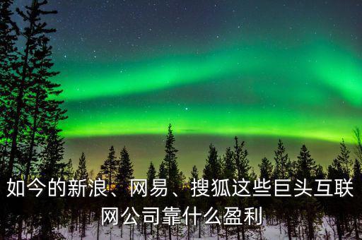 如今的新浪、網(wǎng)易、搜狐這些巨頭互聯(lián)網(wǎng)公司靠什么盈利