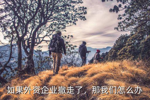 如果外資企業(yè)撤走了，那我們?cè)趺崔k