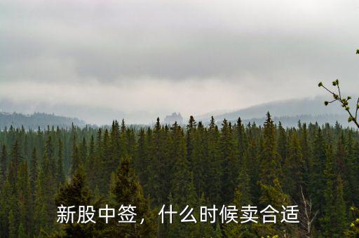新股中簽，什么時候賣合適