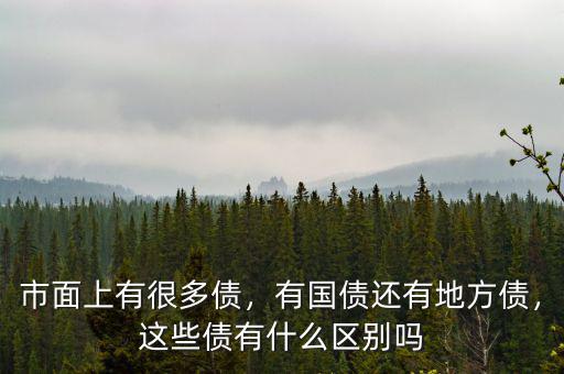 市面上有很多債，有國(guó)債還有地方債，這些債有什么區(qū)別嗎