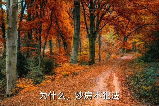 為什么，炒房不犯法