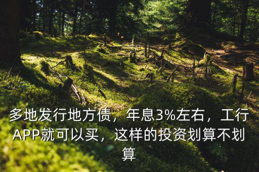 多地發(fā)行地方債，年息3%左右，工行APP就可以買(mǎi)，這樣的投資劃算不劃算