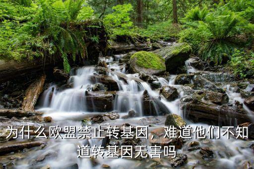 為什么歐盟禁止轉(zhuǎn)基因，難道他們不知道轉(zhuǎn)基因無害嗎