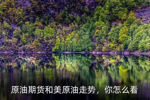原油期貨和美原油走勢(shì)，你怎么看