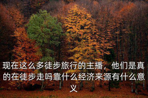 現(xiàn)在這么多徒步旅行的主播，他們是真的在徒步走嗎靠什么經(jīng)濟(jì)來(lái)源有什么意義
