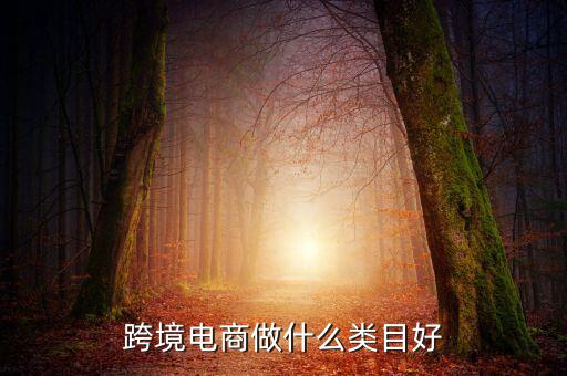 跨境電商做什么類(lèi)目好