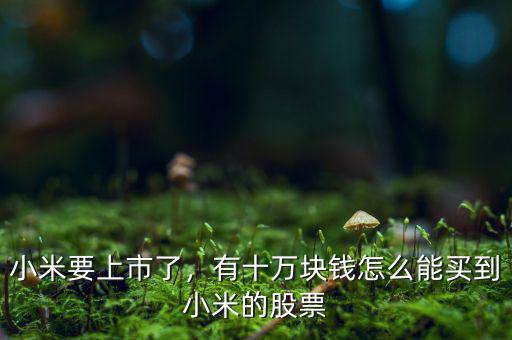 小米要上市了，有十萬(wàn)塊錢怎么能買到小米的股票